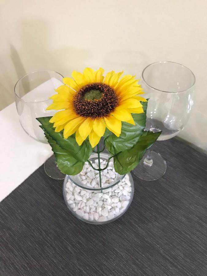 Apartment Sunflower021 Нови-Сад Экстерьер фото